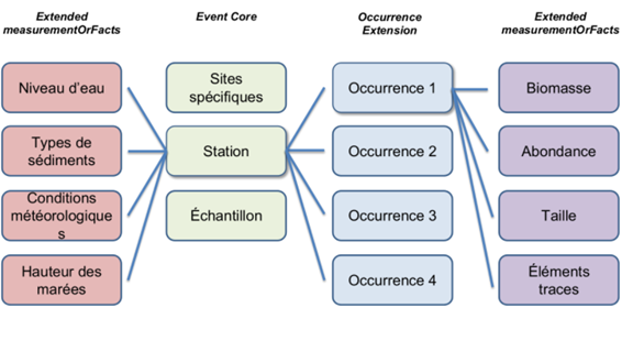 Tableaux relationnels du Darwin Core.