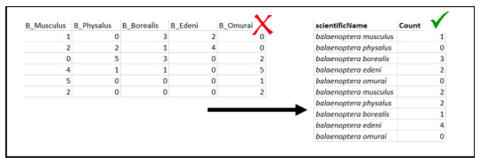 exempletable