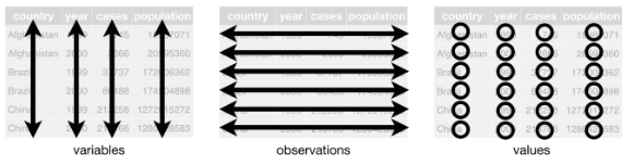 tbxvariables